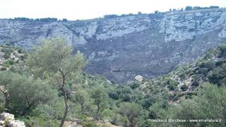 stello marchesa di Cassibile-10-02-2015 19-58-54